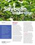 Soybean. Nitrogen Nodulation