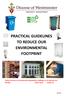 PRACTICAL GUIDELINES TO REDUCE OUR ENVIRONMENTAL FOOTPRINT