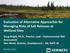 Evaluation of Alternative Approaches for Managing Risks of Salt Releases at Wetland Sites