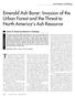 Emerald Ash Borer: Invasion of the Urban Forest and the Threat to North America s Ash Resource
