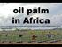 oil palm in Africa Xavier LACAN (PalmElit), Sylvain RAFFLEGEAU (Cirad), Laurène FEINTRENIE (Cirad) Fedepalma 2015