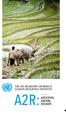 THE UN SECRETARY GENERAL S CLIMATE RESILIENCE INITIATIVE A2R:ANTICIPATE, ABSORB, RESHAPE