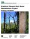 Bradford Emerald Ash Borer Remediation Project