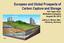 European and Global Prospects of Carbon Capture and Storage Hot Topic Hour McIlvaine Company August 29, 2013