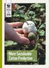 BROCHURE IND. More Sustainable Cotton Production