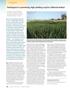 Switchgrass is a perennial, warmseason. Switchgrass is a promising, high-yielding crop for California biofuel
