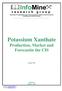 Potassium Xanthate Production, Market and Forecastin the CIS