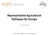 Representative Agricultural Pathways for Europe