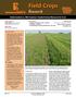 Field Crops. Research. Underseeded vs. Mid-Summer-Seeded Green Manures for Corn. Cooperator: