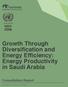 Growth Through Diversification and Energy Efficiency: Energy Productivity in Saudi Arabia