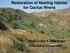 Restoration of Nesting Habitat for Cactus Wrens. Megan Lulow & Jutta Burger Irvine Ranch Conservancy