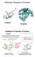Molecular Dynamics of Proteins
