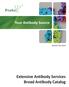 Your Antibody Source. prosci-inc.com. Extensive Antibody Services Broad Antibody Catalog