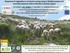 Response of vegetation to exclusion and grazing in Mediterranean wet mountain pastures (Sierra Nevada, Granada, Spain)