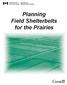 Planning Field Shelterbelts for the Prairies