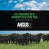 The powerful new genomic selection tool. Built By Angus Genetics Inc.
