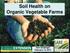 Soil Health on Organic Vegetable Farms