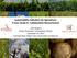 Sustainability Indicators for Agriculture: A Case Study in Collaborative Measurement