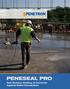 PENESEAL PRO. Sub-Surface Sealing of Concrete Against Water Penetration