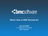 What s New in BMC Remedy 8.0. Jose Luis Rubio Sr. Software Consultant BMC Software
