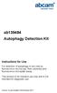 ab Autophagy Detection Kit