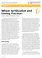 Wheat Fertilization and Liming Practices Trenton L. Roberts and Nathan A. Slaton