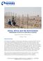 China, Africa and the Environment A Briefing Paper on the Forum on China-Africa Co-operation