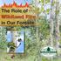 The Role of. Wildland Fire. in Our Forests