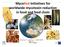 MycoRedinitiatives for worldwide mycotoxinreduction in food and feed chain. Antonio F. Logrieco - CNR ISPA