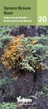 Spruce Broom Rust. Yukon Forest Health Forest insect and disease 20. Energy, Mines and Resources Forest Management Branch