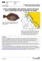 STOCK ASSESSMENT AND HARVEST ADVICE FOR ROCK SOLE (LEPIDOPSETTA SPP.) IN BRITISH COLUMBIA