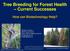 Tree Breeding for Forest Health Current Successes
