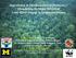 Degradation & Disinformation to Democracy: Dismantling the Major Drivers of Land Cover Change in Indonesian Borneo