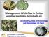 Management Whiteflies in Cotton sampling, insecticides, harvest aids, etc. Larry Godfrey, Dept. of Entomology and Nematology, UC-Davis