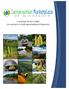Ecosystem Service Credits An overview of credit opportunities in Minnesota