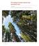 The Chilean Forestry Sector and associated risks