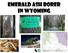 Emerald Ash Borer in Wyoming