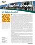 Market Mosaic. U.S. Biofuels Revisited