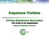 Capstone Turbine. E-Finity Distributed Generation. The Power to be Independent. Authorized Capstone Distributor