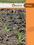 Polymicrobial inoculant for dry fertilizer impregnation. Maximize return from fertilizer applications Improve harvest quality and yield Exceptional
