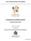 Competencies Guidelines Report