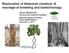 Restoration of American chestnut: A marriage of breeding and biotechnology