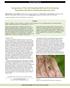 Comparison of Two Soil Sampling Methods for Estimating Population Densities of Heterodera glycines Cysts