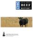 SOUTH DAKOTA BEEF REPORT. South Dakota State University College of Agriculture and Biological Sciences Animal Science Department