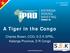 A Tiger in the Congo. Charles Brown, COO, S.E.K SPRL, Katanga Province, D R Congo