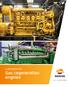 Lubricants for. Gas cogeneration engines