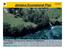 Jamaica Ecoregional Plan. The Nature Conservancy Jamaica Programme June 2006