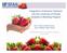 Integration of Genomic Selection into the University of Florida Strawberry Breeding Program