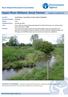 Upper River Witham: Great Ponton Version 1.1 ( )