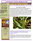 L OUISIANA CROPS NEWSLETTER
